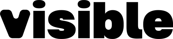 Visible Global Logo Visible Global brand logo black
