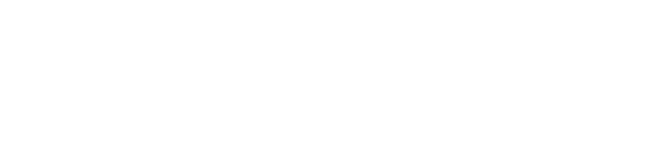 Visible Global Logo Visible Global brand logo white